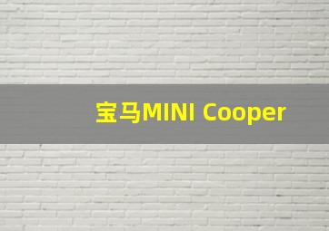 宝马MINI Cooper